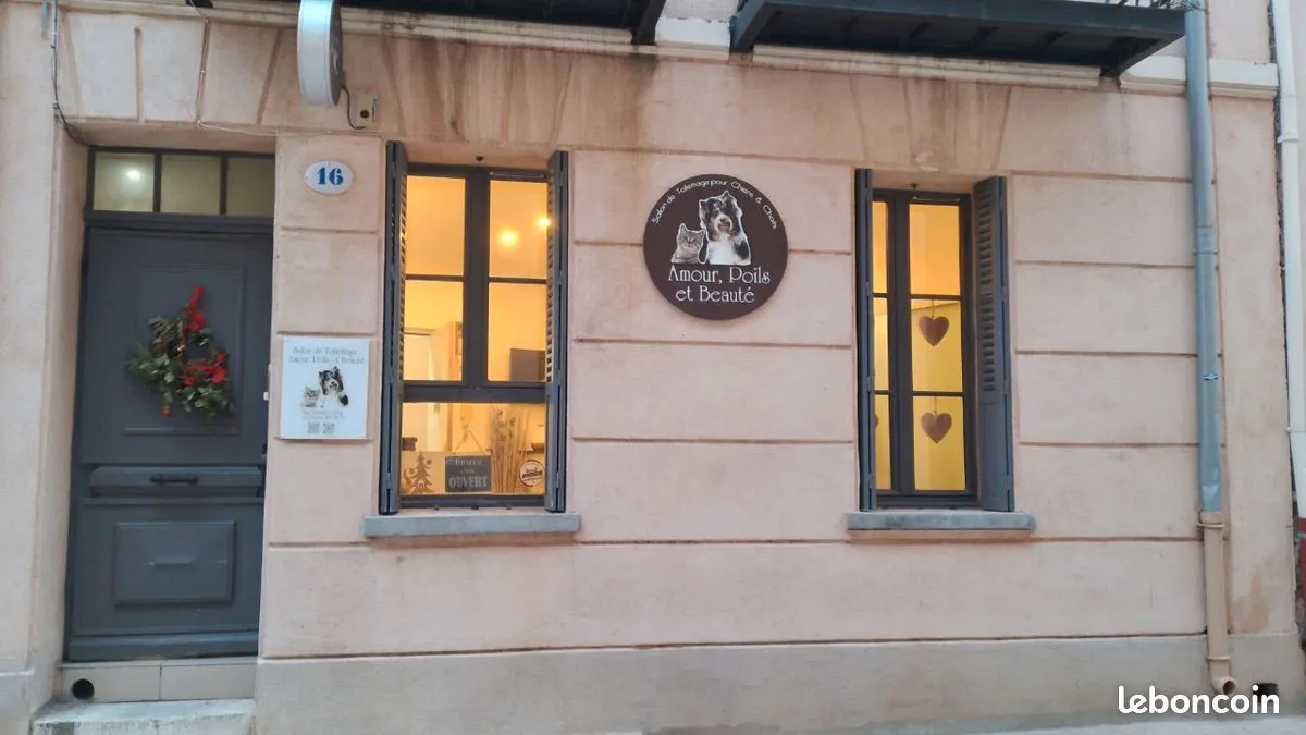 Photo 1