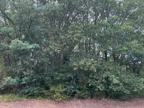Terrain constructible 1098 m²