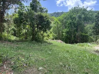 Rivière-Pilote Terrain constructible 860 m² 135 000 euros FAI