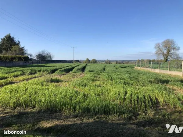 Terrain 1500 m² PEILLAC