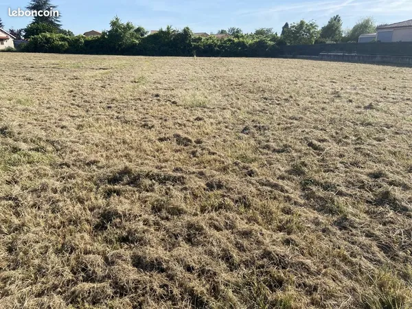 Terrain 1500 m² Gaillac
