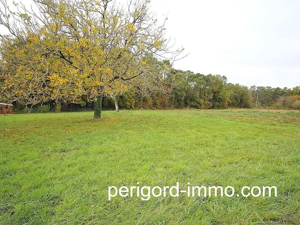 Terrain - 3500m ²