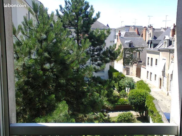 T1 bis 35,75 m2 quai du Châtelet - Bords de Loire
