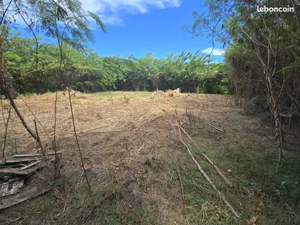 Terrain 1 299 m² Le Vauclin
