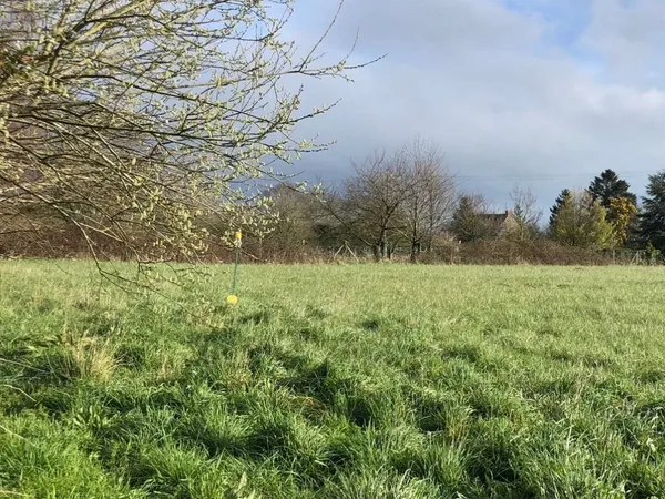 Terrain 700 m²