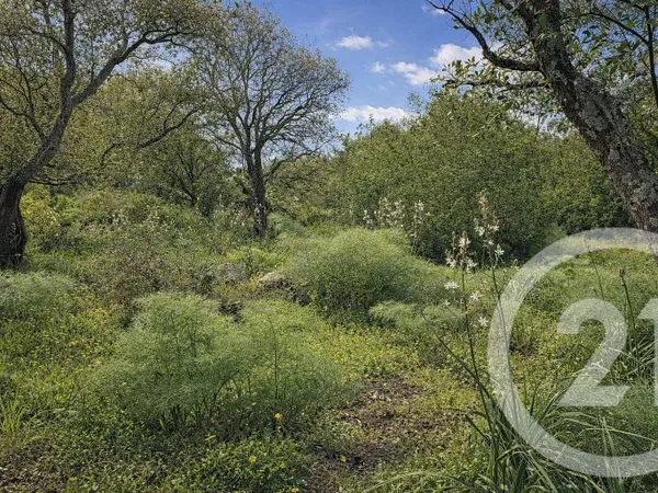 Terrain 2000 m²