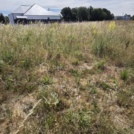 Terrain 1000 m²