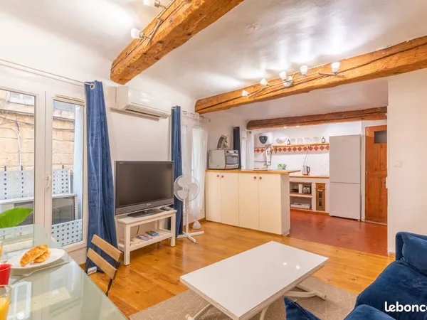 Appartement chaleureux et tres fonctionnel hyper centre
