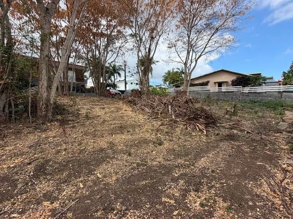 Terrain 350 m²