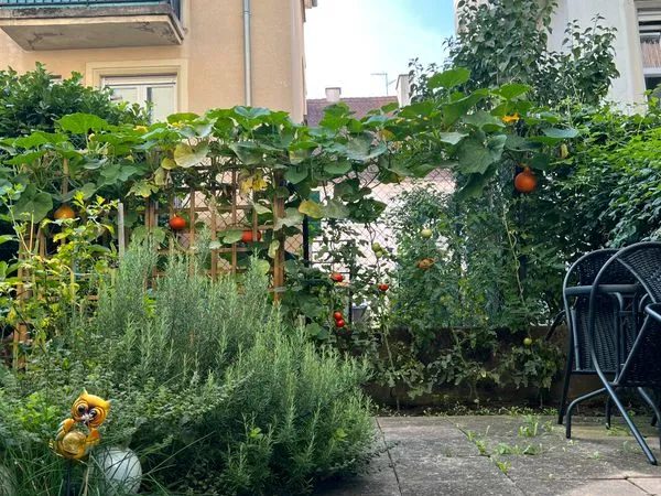 A louer - cosy souplex avec jardin sur Strasbourg Neudorf