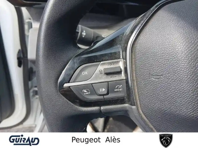 Peugeot 308 sw phev 180 e-eat8 — photo 18