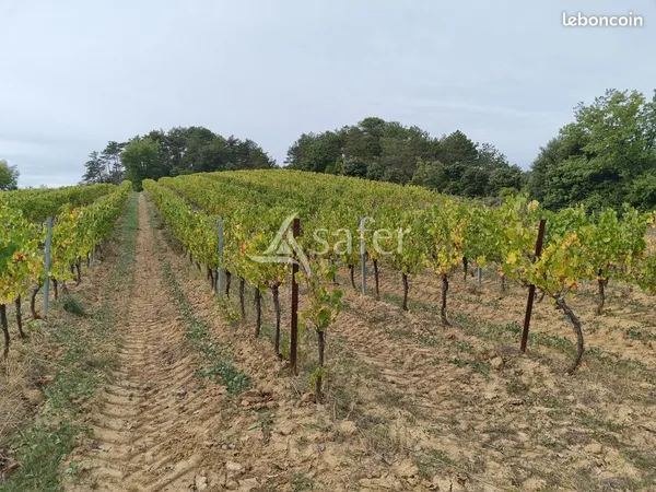 Terrain 304822 m² Limoux