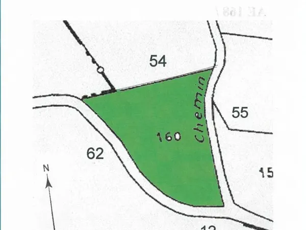 Parcelle boisée