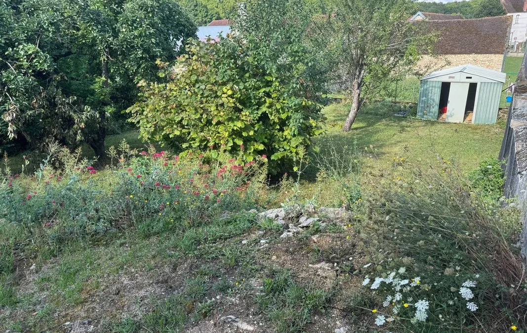 Photo 3