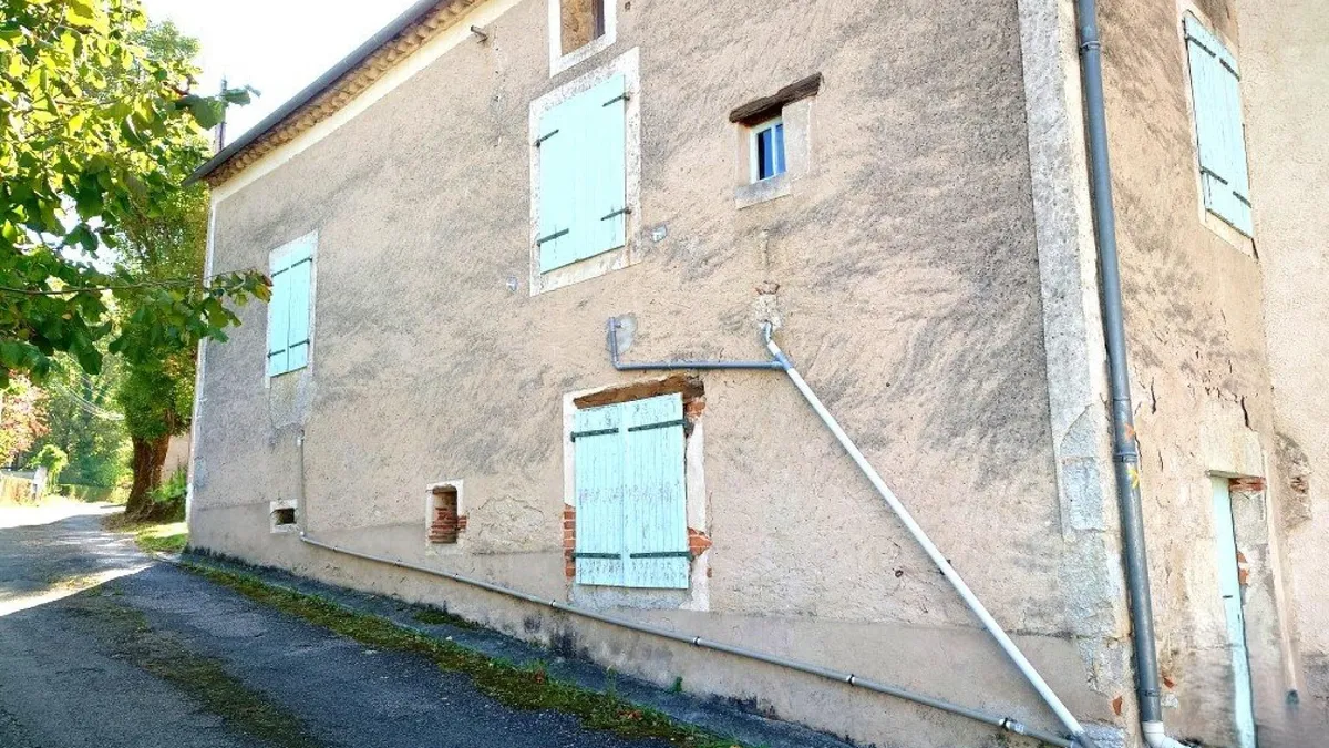 Photo 3