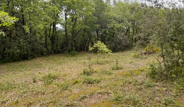 Terrain 789 m²