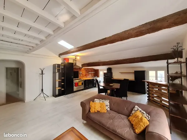 Appartement 105 m2 en hyper-centre de Perpignan
