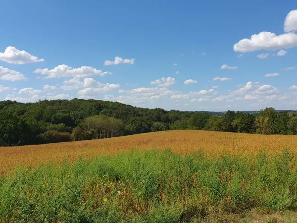 Bien agricole et foncier Vente Virazeil   99500€