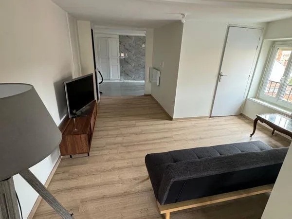 Appartement meublé 45m2 hyper centre ville
