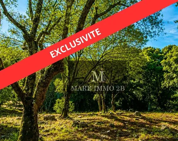 En Exclusivité :Terrain constructible de 2468m²