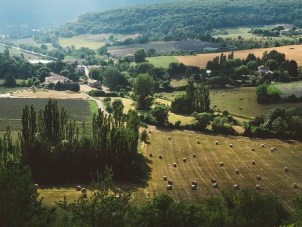 Le droit de préemption de la Safer : vendre ou acheter un terrain agricole, une forêt ou une ferme — notification, délai de deux mois et prix — le guide 2026