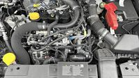 Renault Captur 1.0 Eco-G 100ch Evolution — photo 20