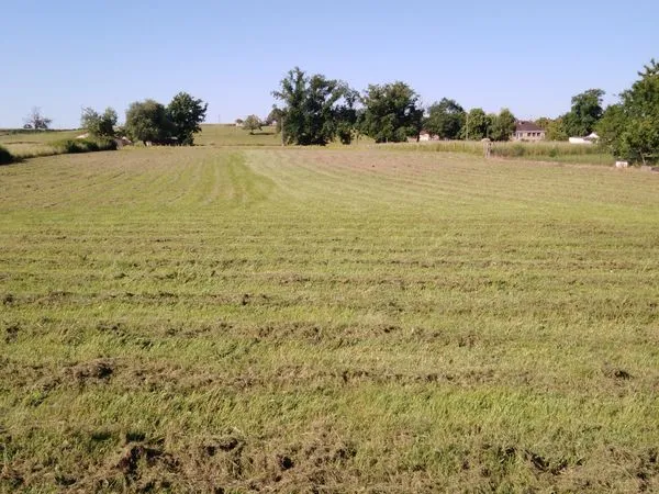 Terrain constructible à Diou (03)