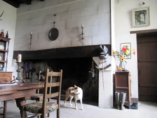 Photo 4