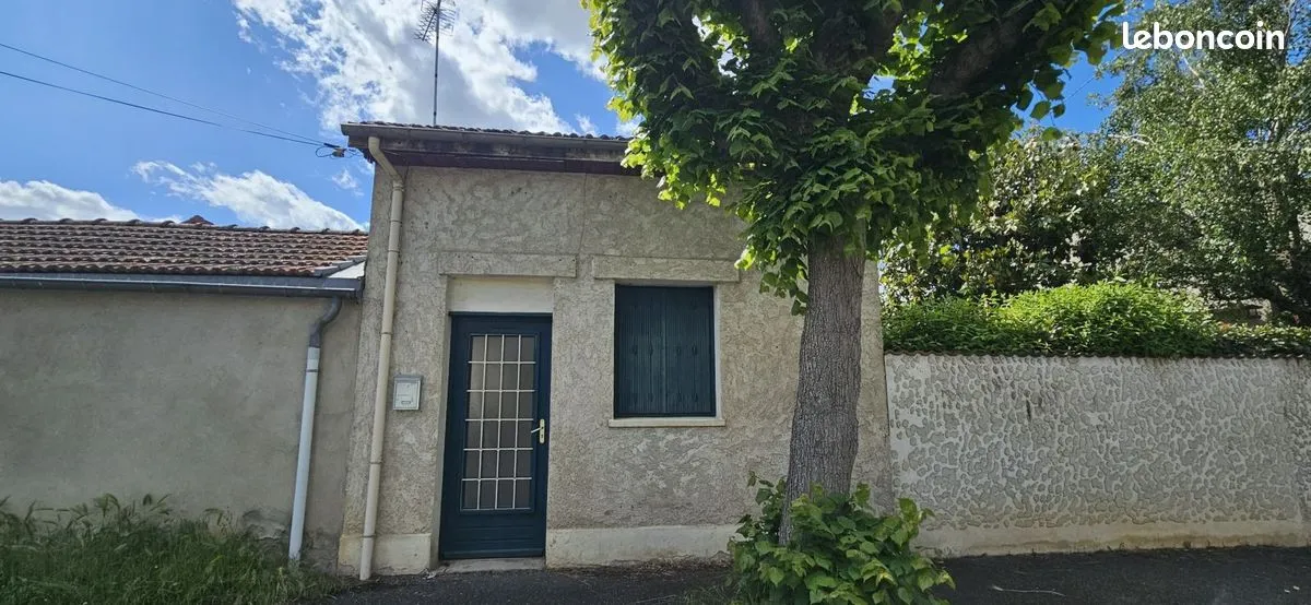 Photo 17