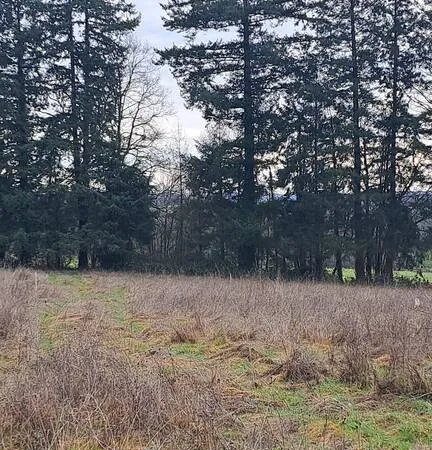 Terrain
