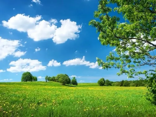 Terrain 1500 m²