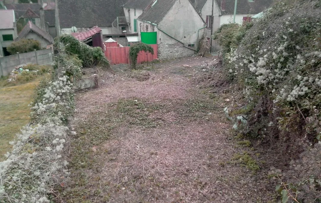 Photo 3
