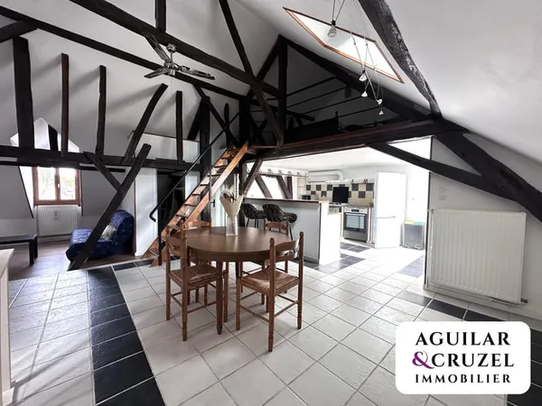 Appartement duplex lumineux
