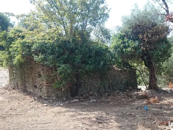 Location terrain agricole