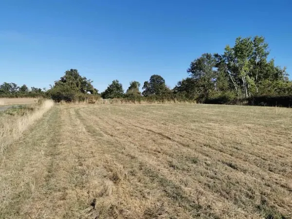 Terrain 1542 m²