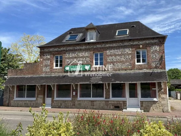 Maison 9 pièces 300 m²