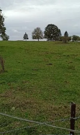Terrain constructible à Foameix-Ornel