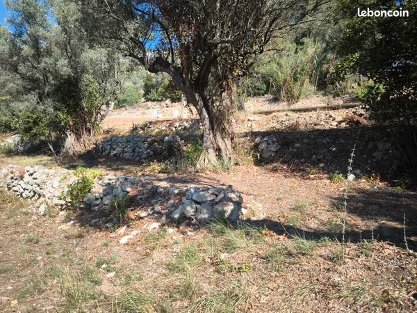 Terrain constructible 593 m² - Le Revest - Vue Faron