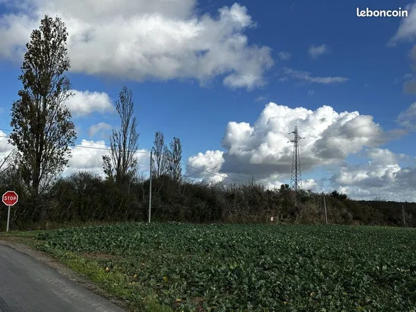 Terrain 5880 m² Courtenay