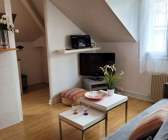 Appartement de 35m2 à louer sur Vichy