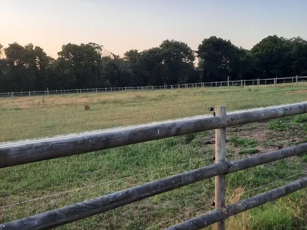 Terrain Location Pluvigner  10000m² 150€
