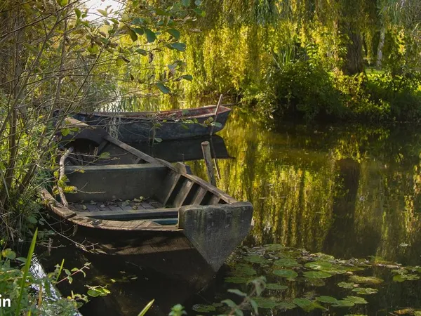 Terrain dans le marais