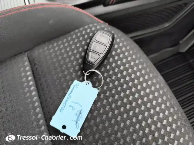 Ford Kuga 2.0 ecoblue 150 mhev bvm6 st-line — photo 16