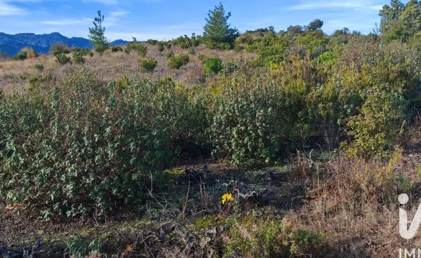 Terrain 2695 m²