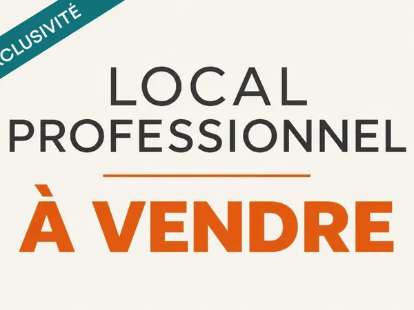 Vente local professionnel à Mulhouse