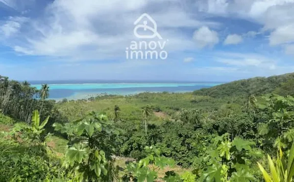 Terrain à bâtir Vente Lepuix 295000€