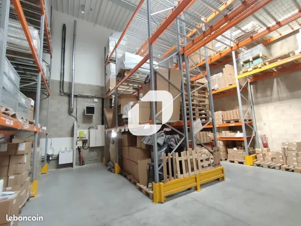 Local d'activité 293 m²