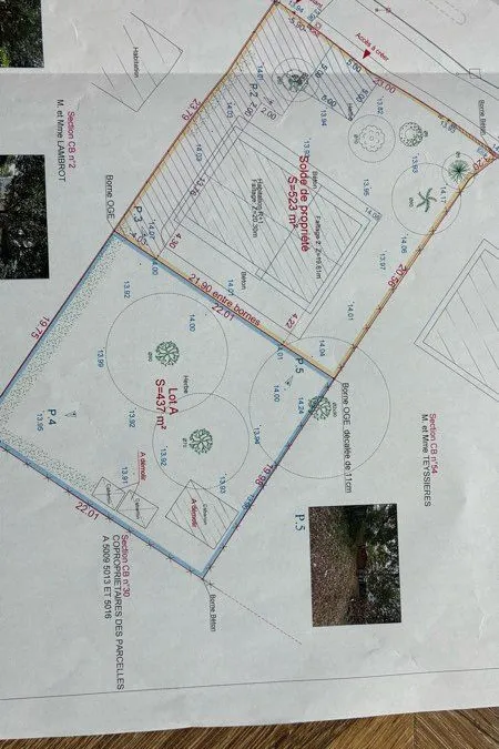 Photo 3