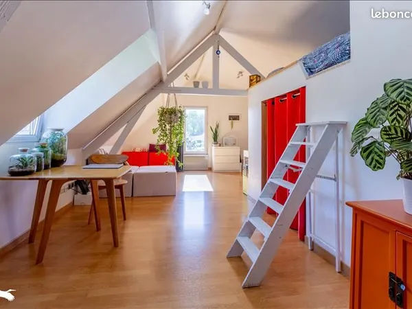 Appartement 1 pièce 33 m²
