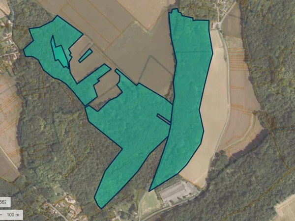 forêt bois et chasse